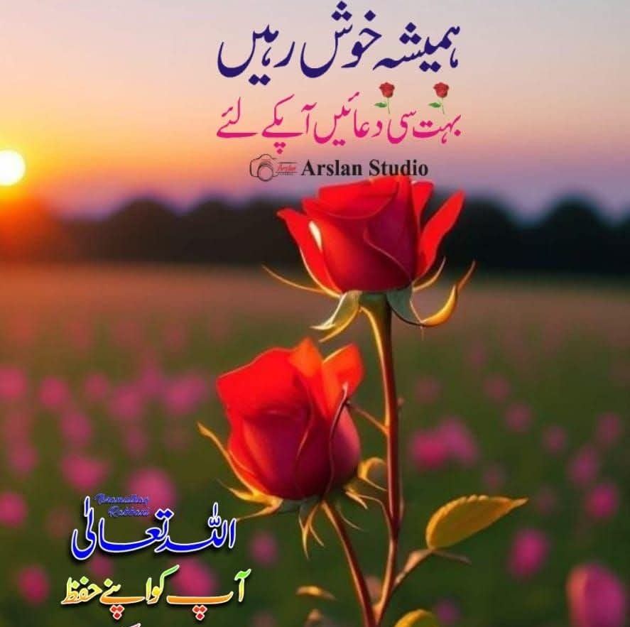 #viralvideochallenge #viralreelsシ #viralpost | M Asif Awan