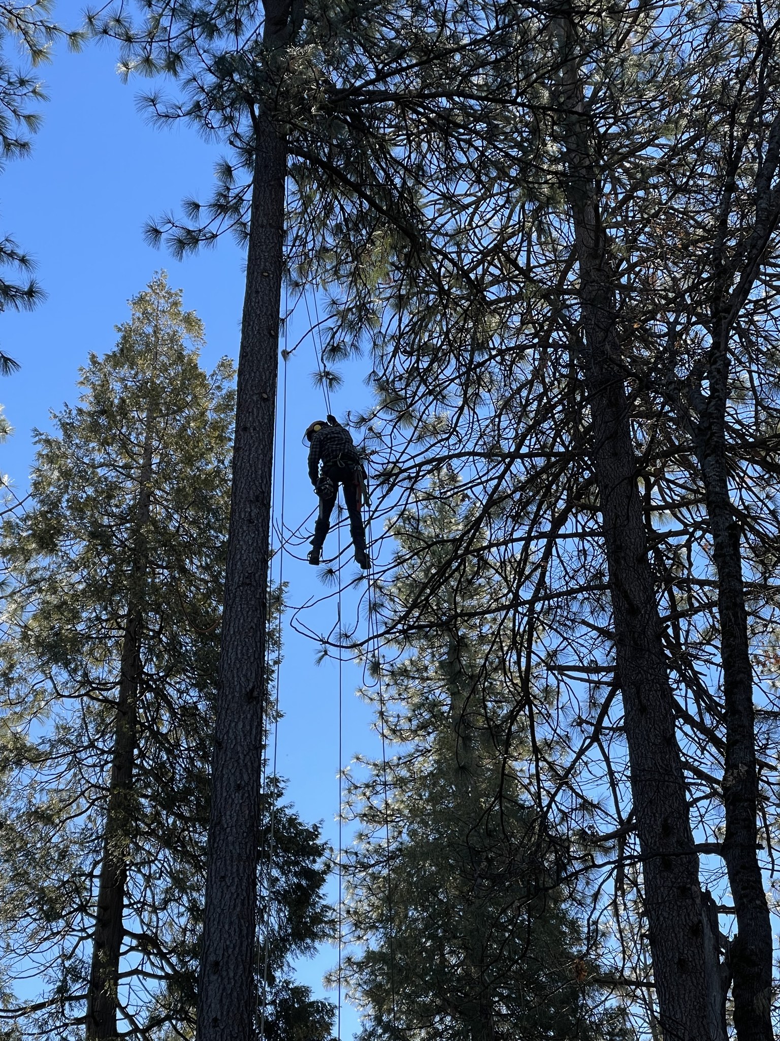 Speed lining a top out. Great day of work Let us know we can help with ...