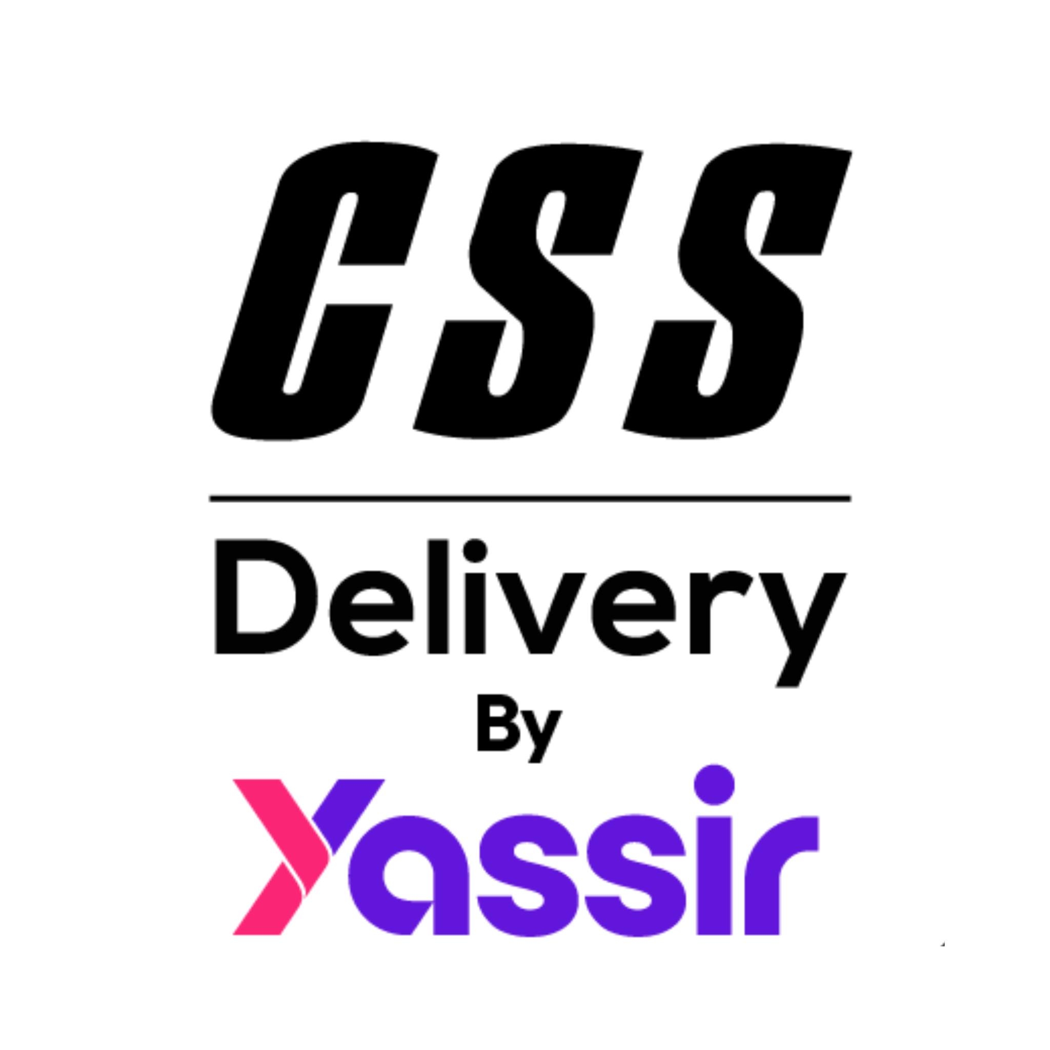 CSS Delivery