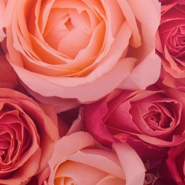 OfferUp Los Angeles - Buy, Sell, Trade Anything | Facebook