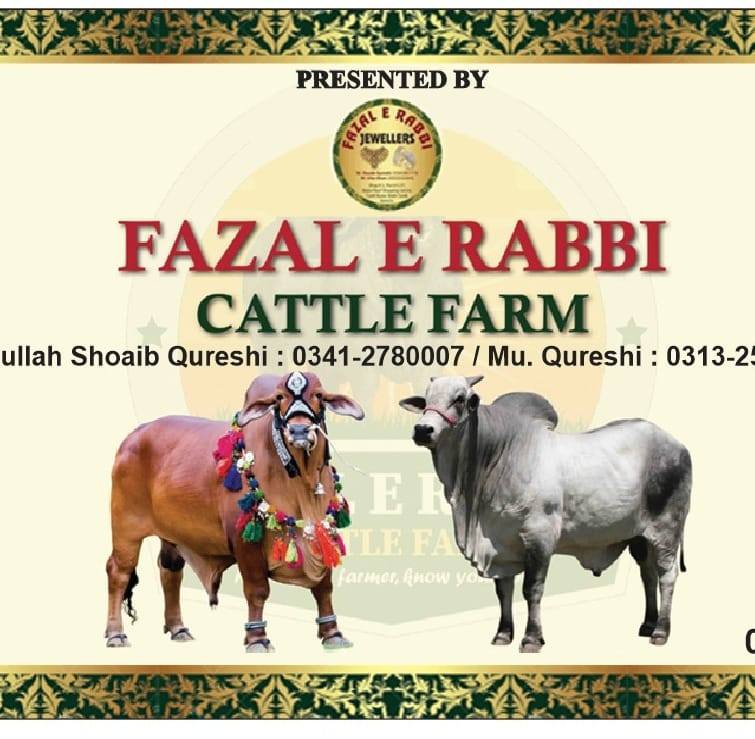 Fazal E Rabbi Cattle Farm فضلِِ ربّی کیٹل فارم | Karachi