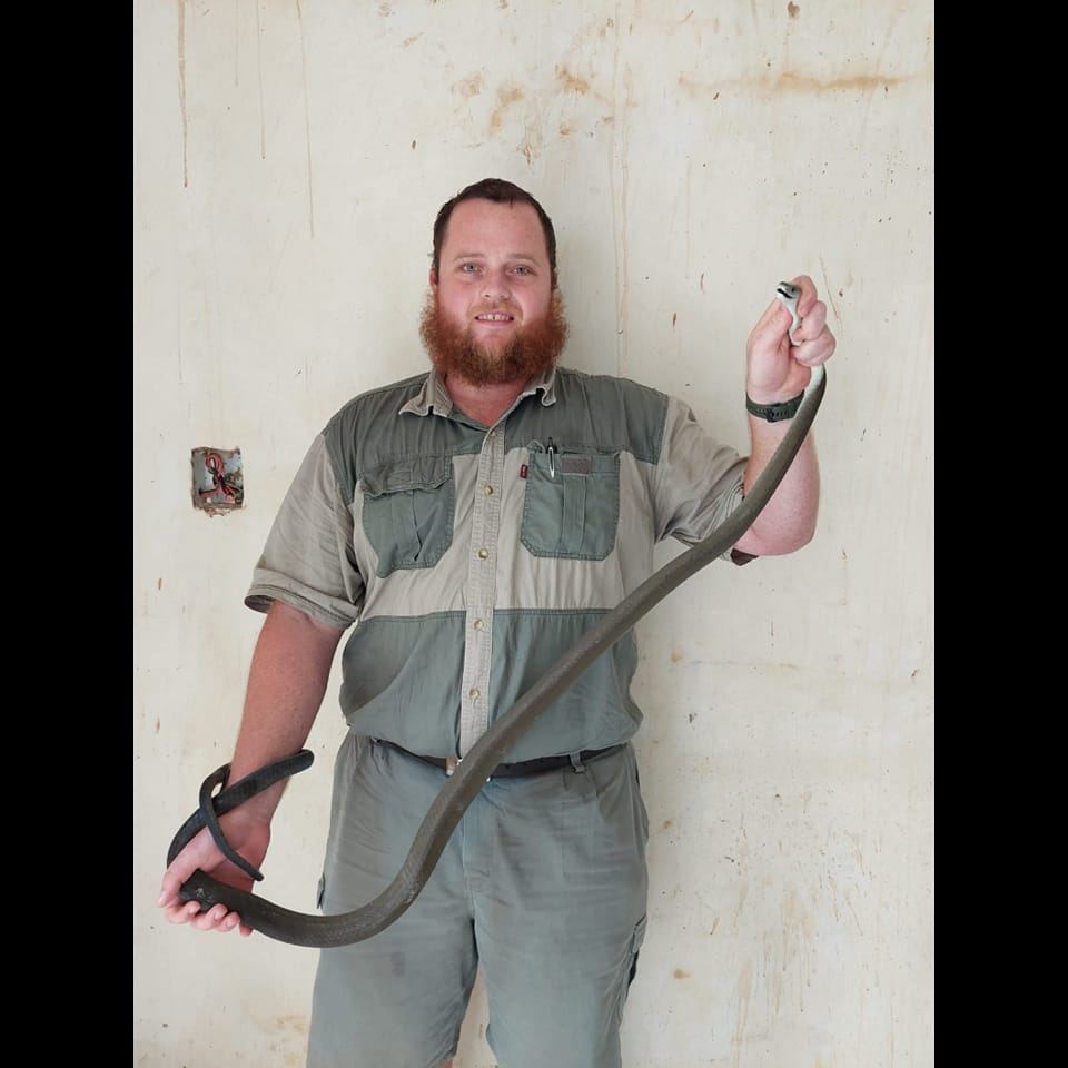 David John-Snake Rescuer | Hillcrest