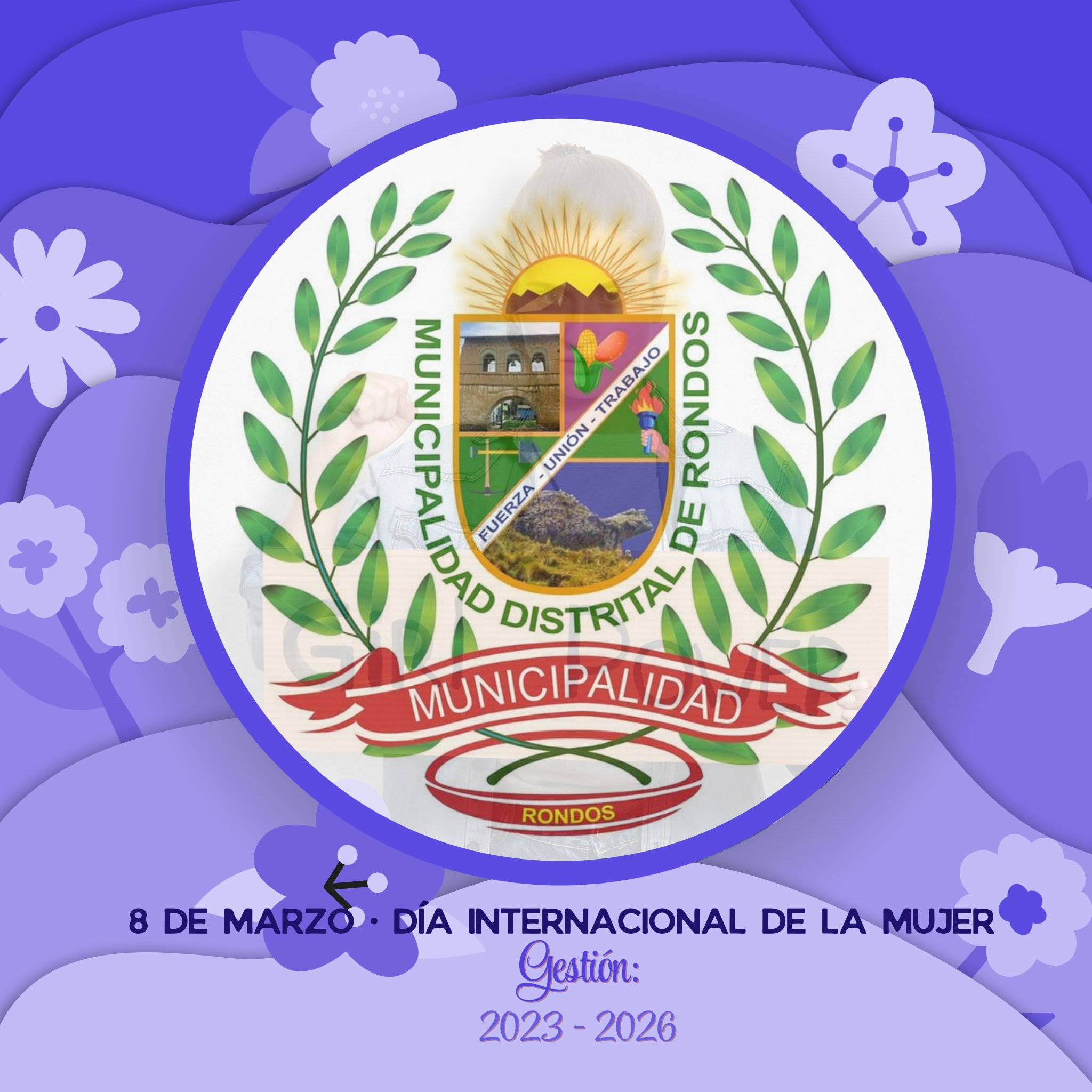 Municipalidad Distrital De Rondos