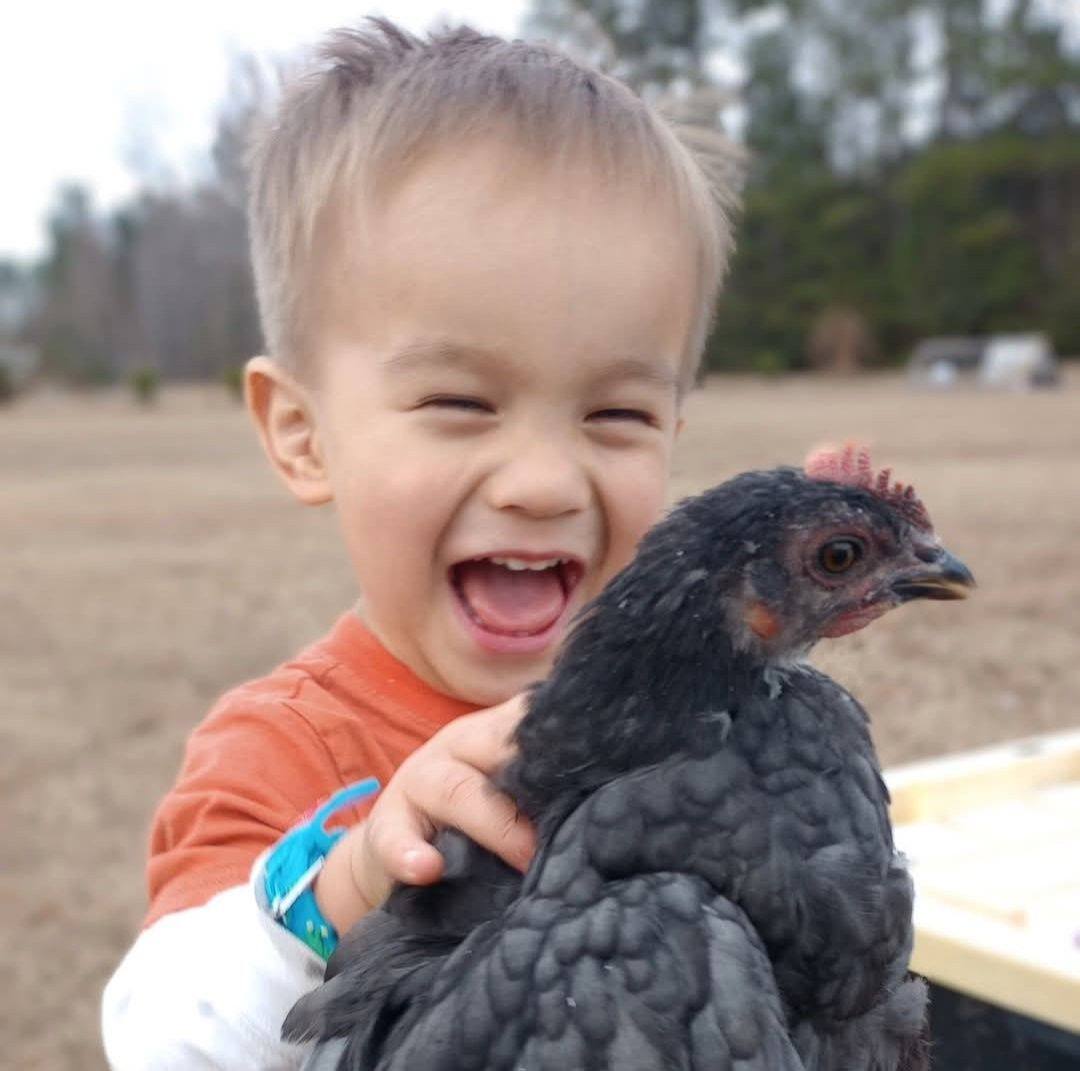 Chicken Coop Ideas & Everything Backyard Chicken | What do you get when ...