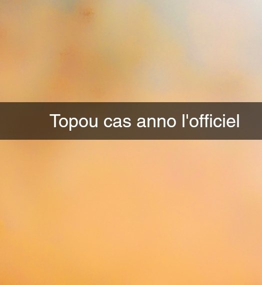 topou cas anno l'officiel | Thiès