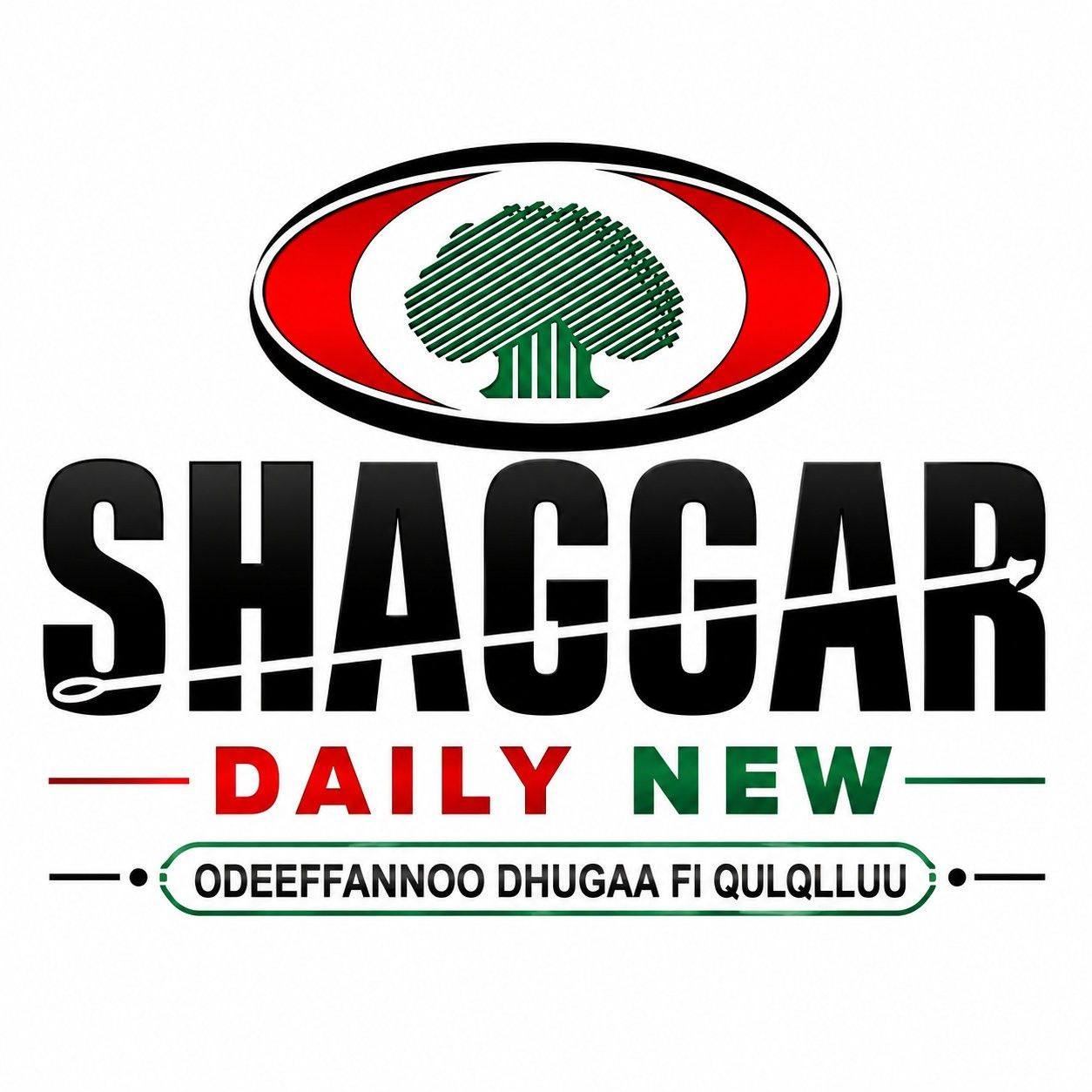 Shaggar Daily New