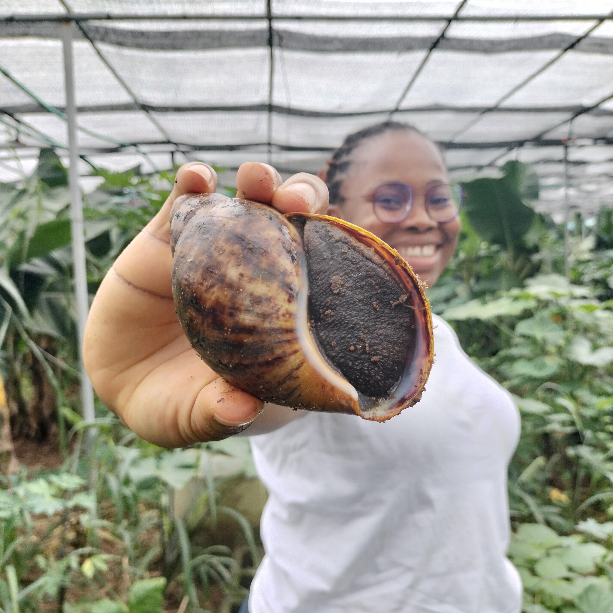 Zel Snail Farm | Lagos