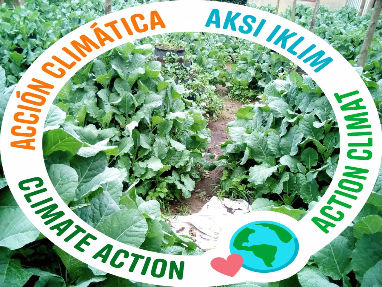 Mazingira Day October 10th 2026. Our thanks to Green waste management ...