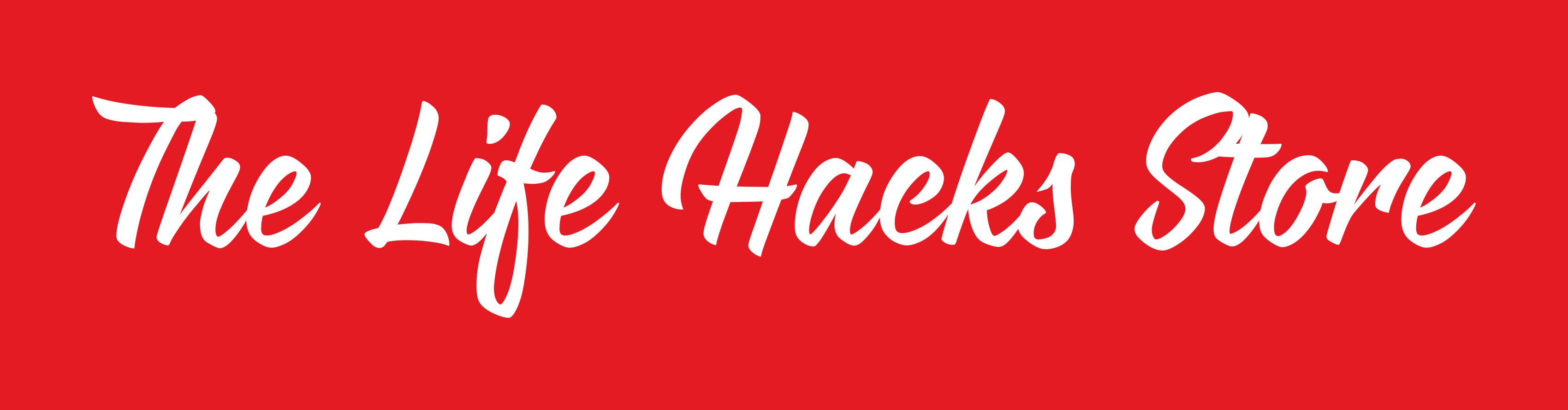 The Life Hacks Store | New York NY