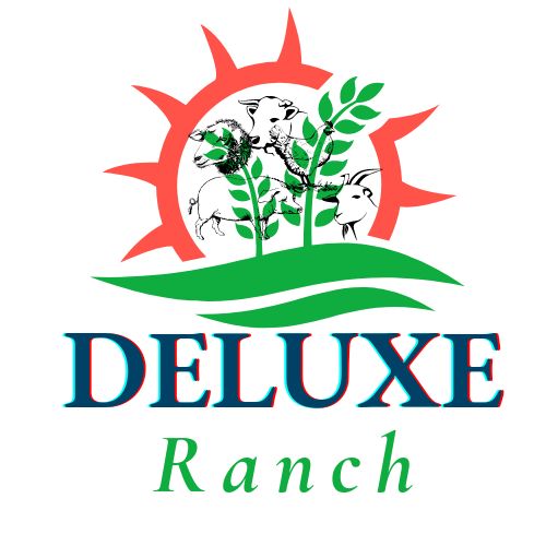 Deluxe Ranch | Rusape