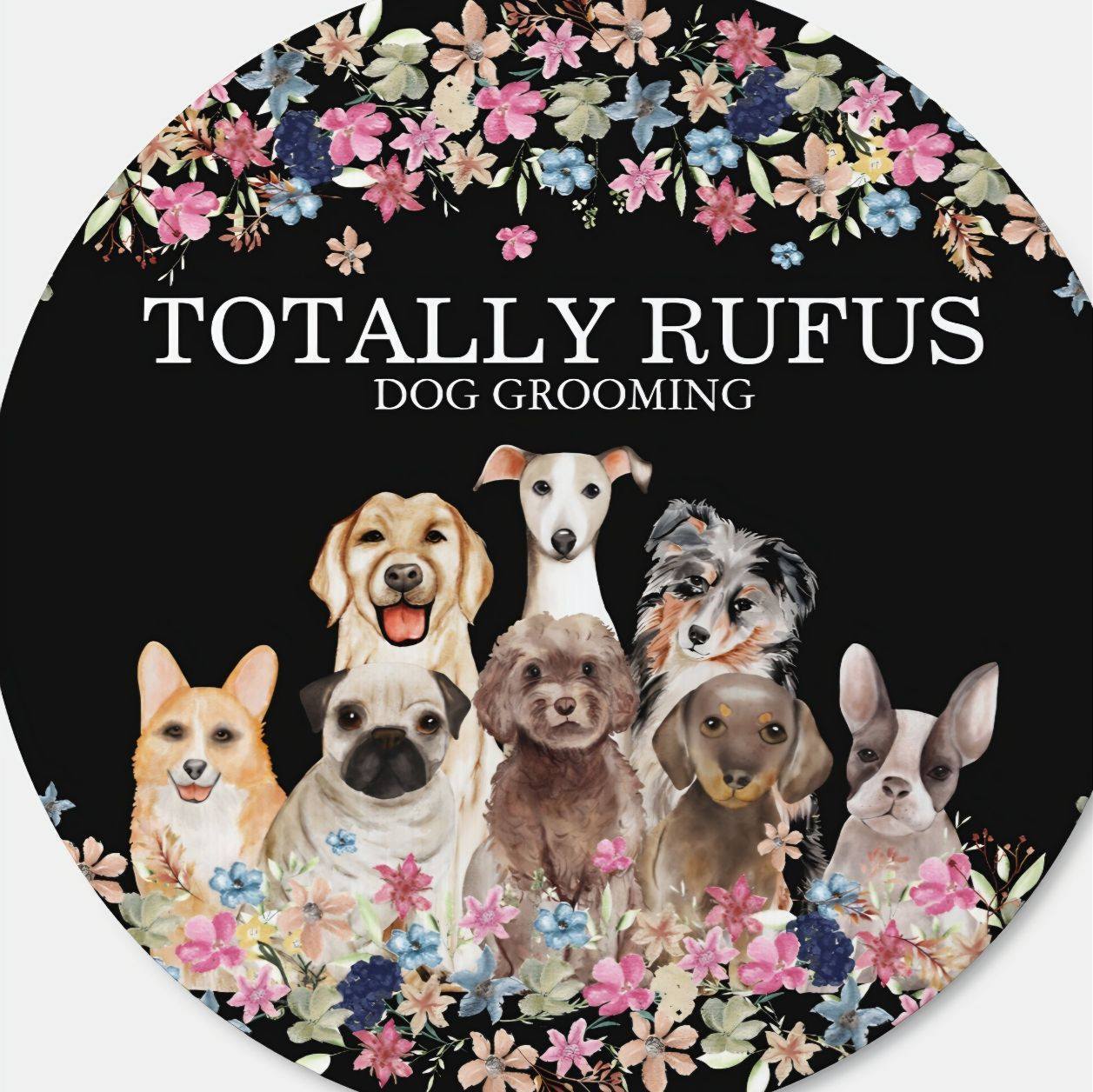 Totally Rufus | New York Mills NY