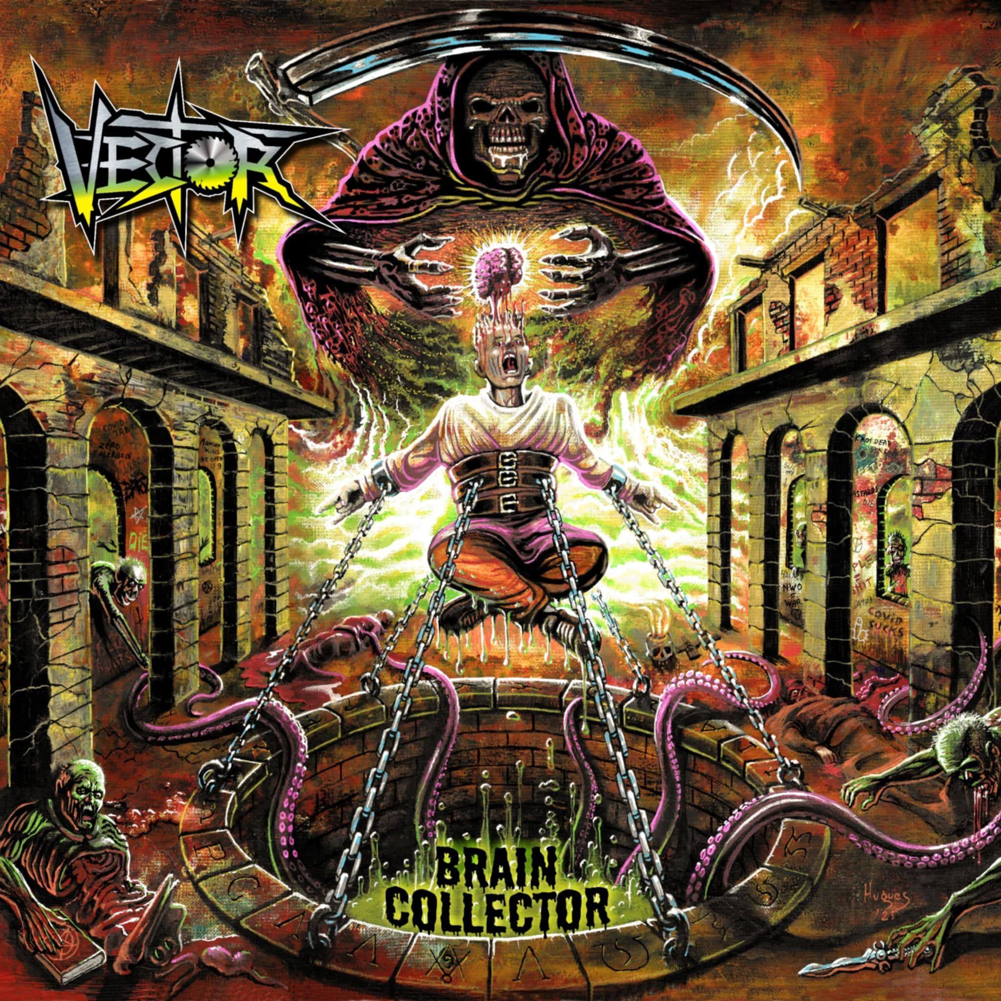 VECTOR | Saint-Omer