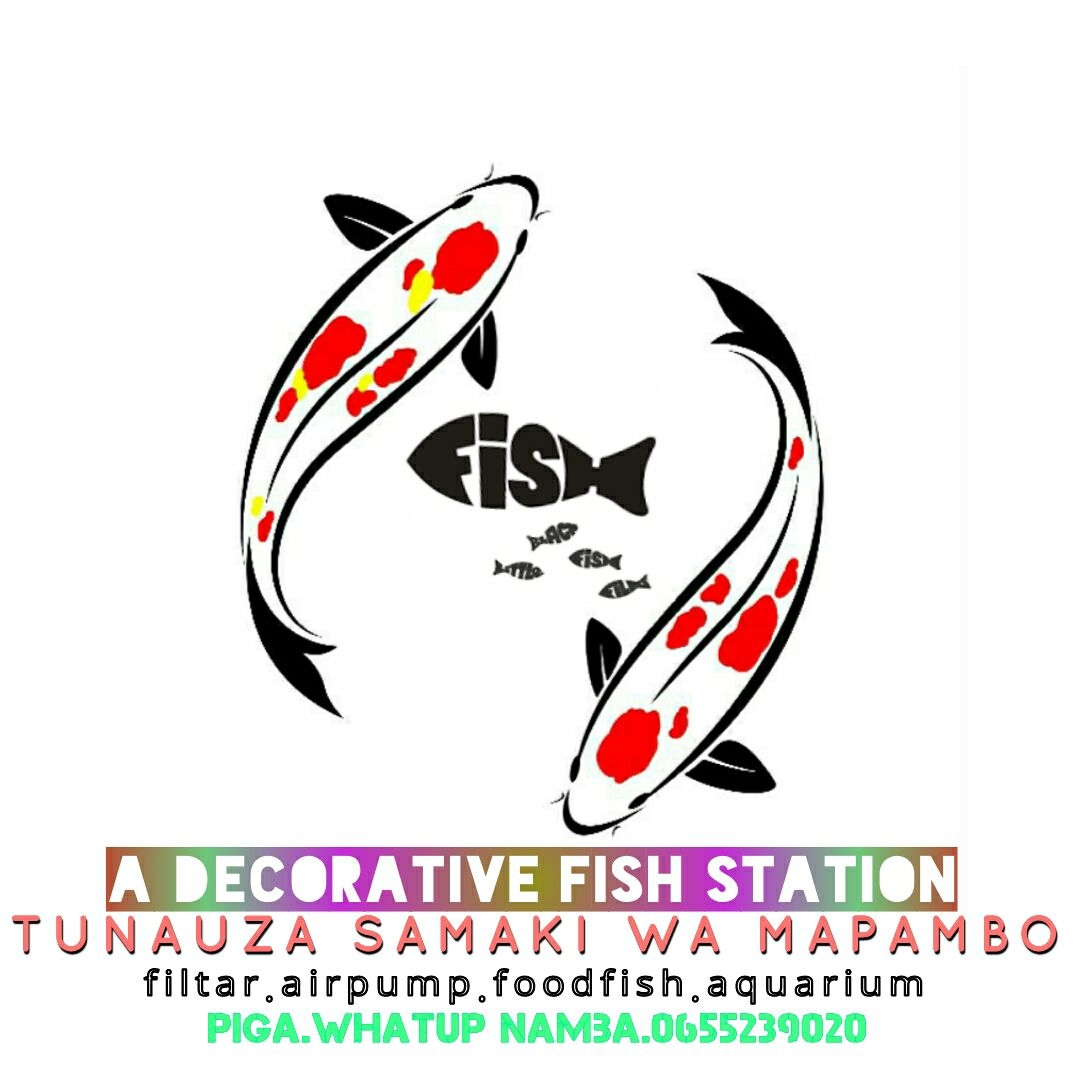 Samaki wa mapambo