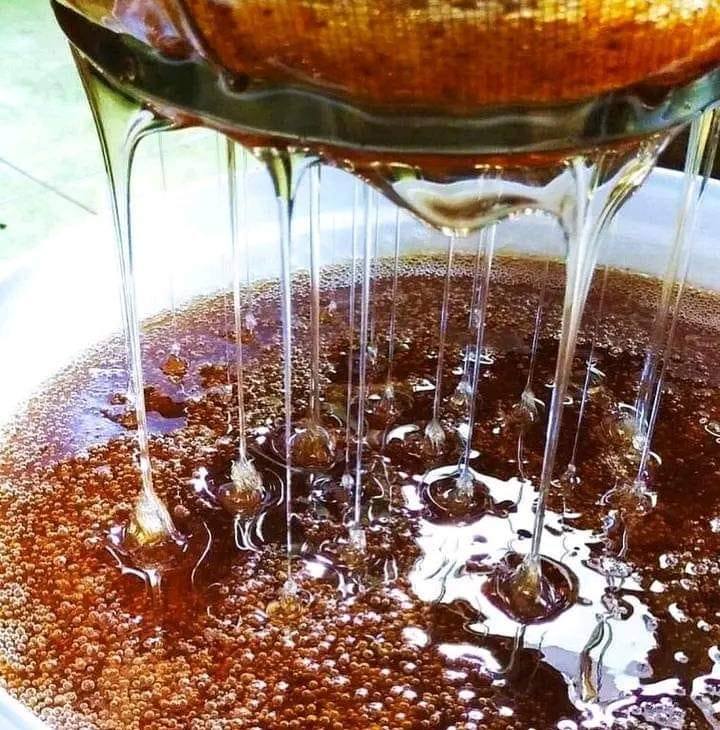 العسل الحر tamnt lhor - تكيوت | Agadir