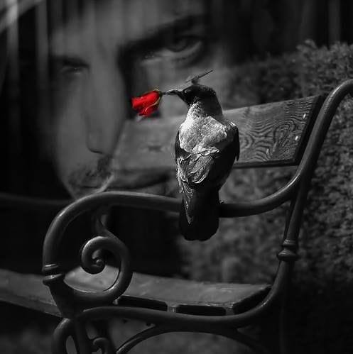 Basit Ghouri