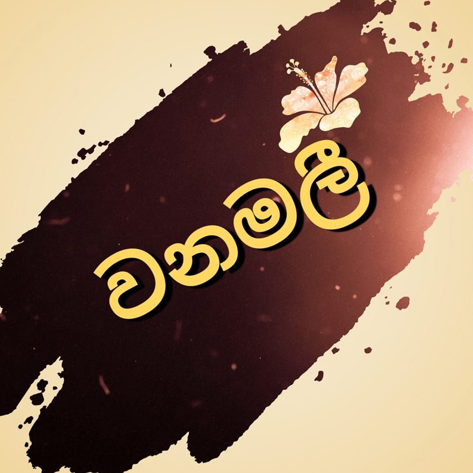 වනමලී Dream's
