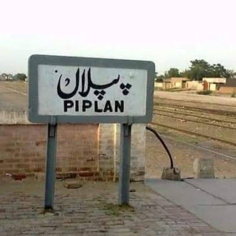Piplan - Mainwali | Piplan