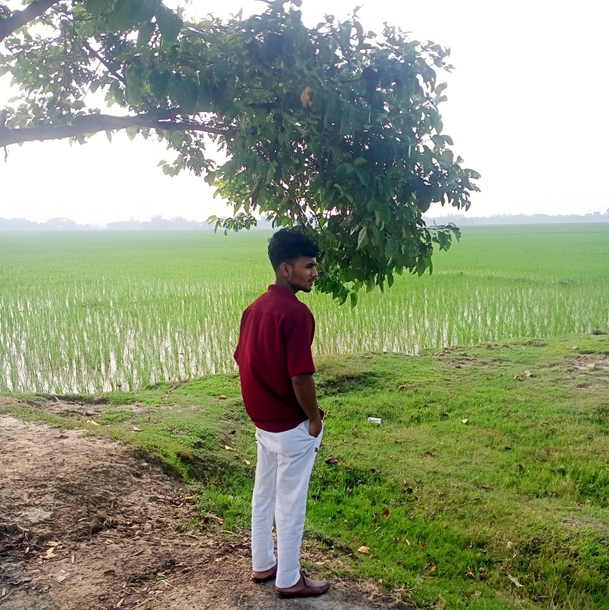 MD Jobed Alli