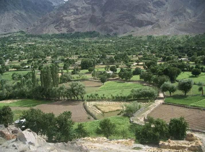Ayashi Valley Punial GB | Ghizar