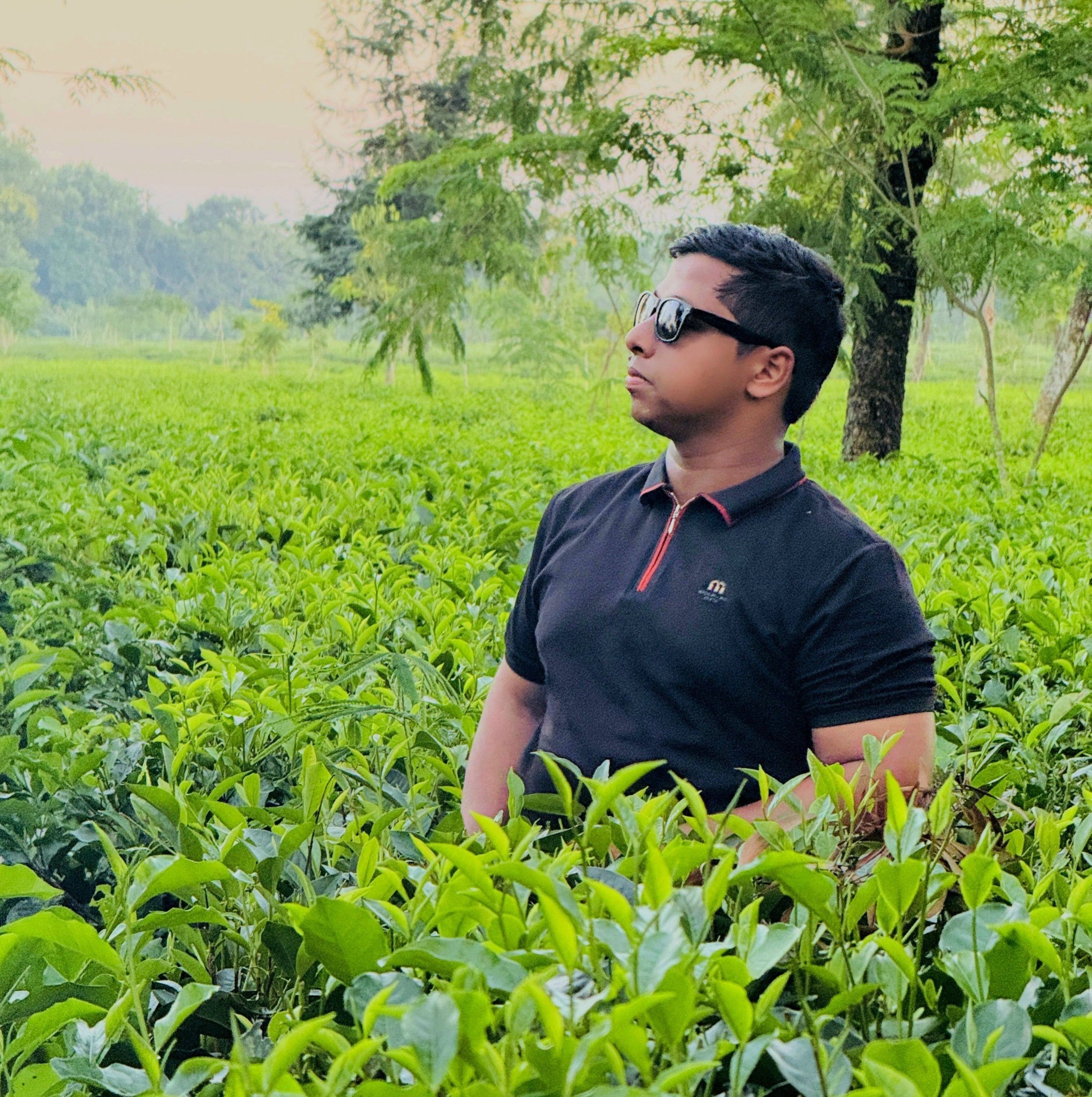 Jayed Ahmed