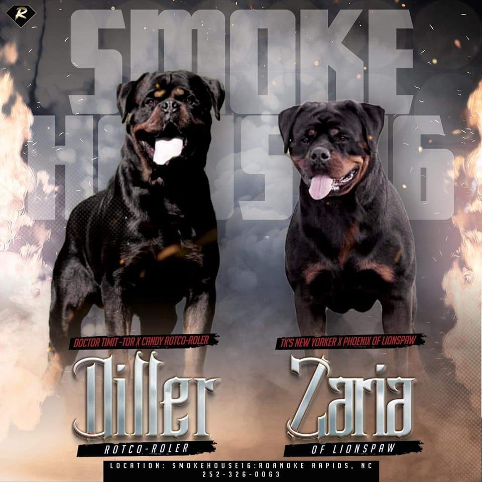 Smokehouse16 Rottweilers