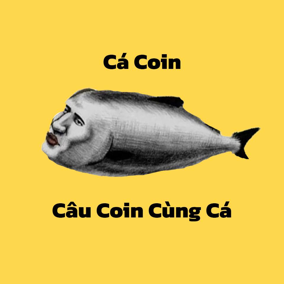 Cá Coin | Hanoi