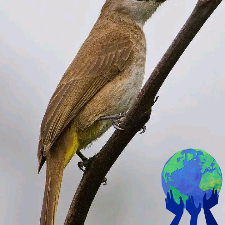 Heboh begal salah sasaran, semoga ini jadi perhatian agar lebih WASPADA ...