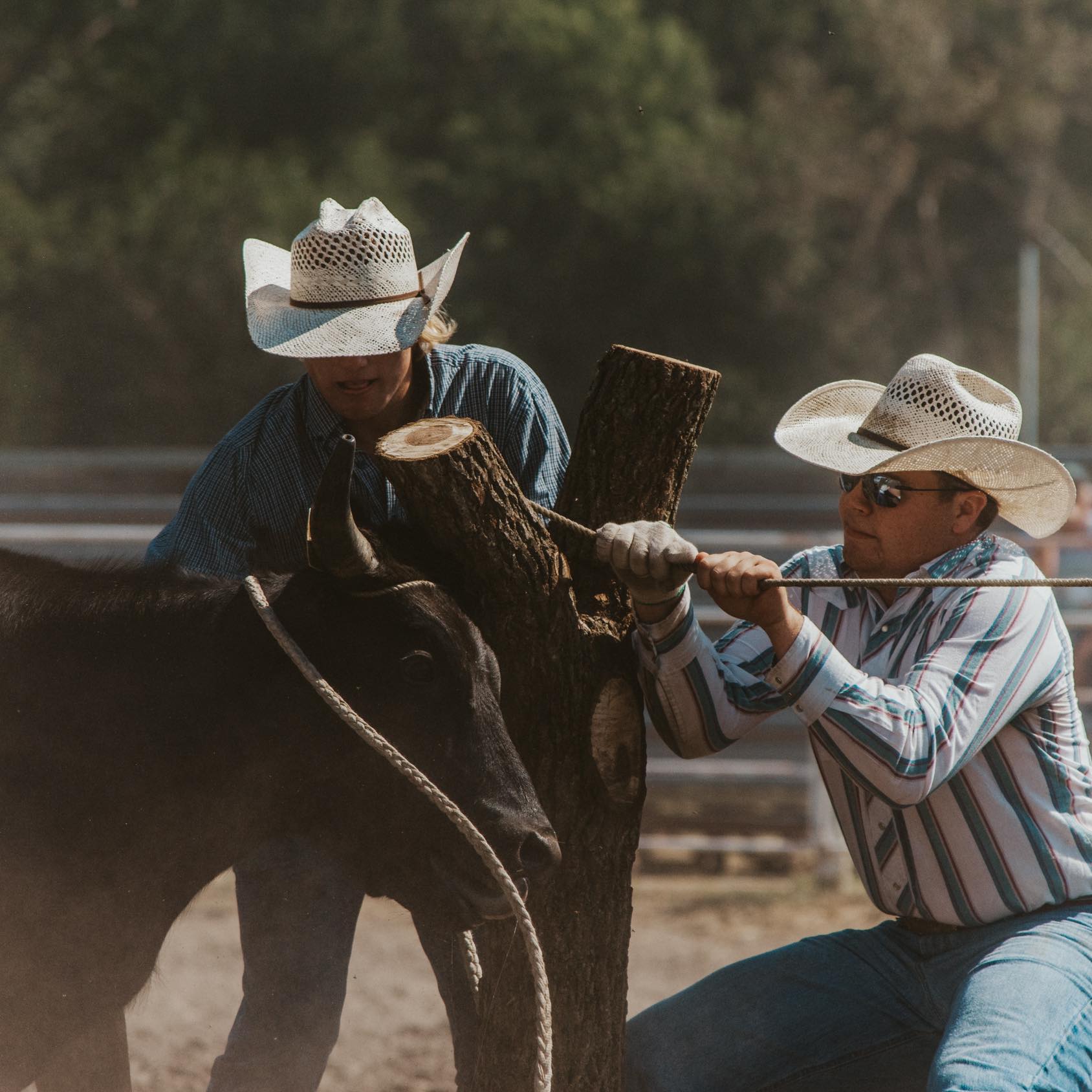 Nebraska Ranch Rodeo Association | Bartlett NE