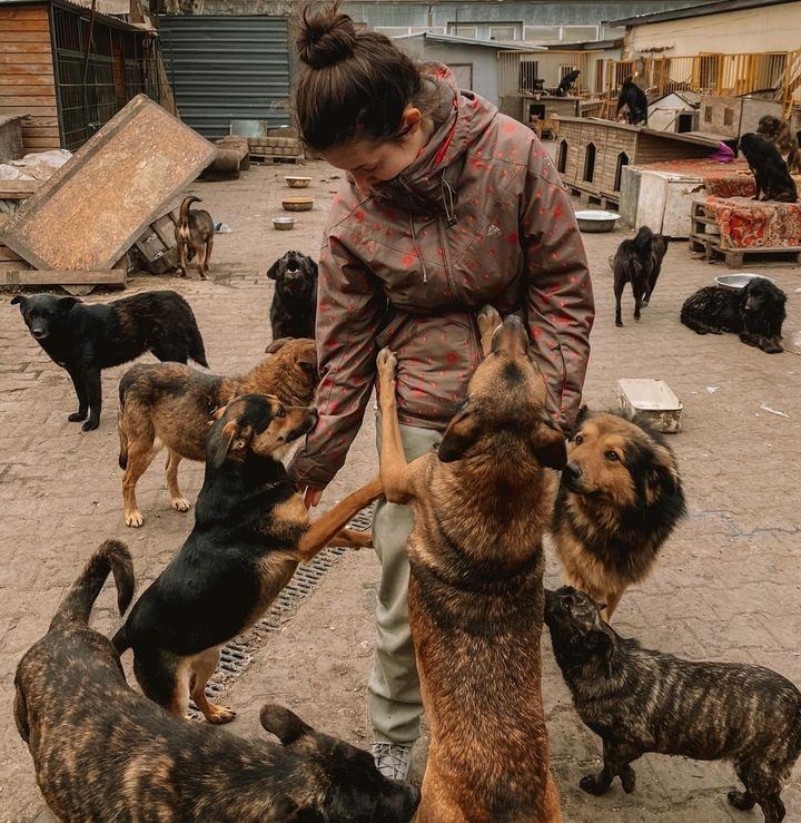 Nathan's Pet Rescue