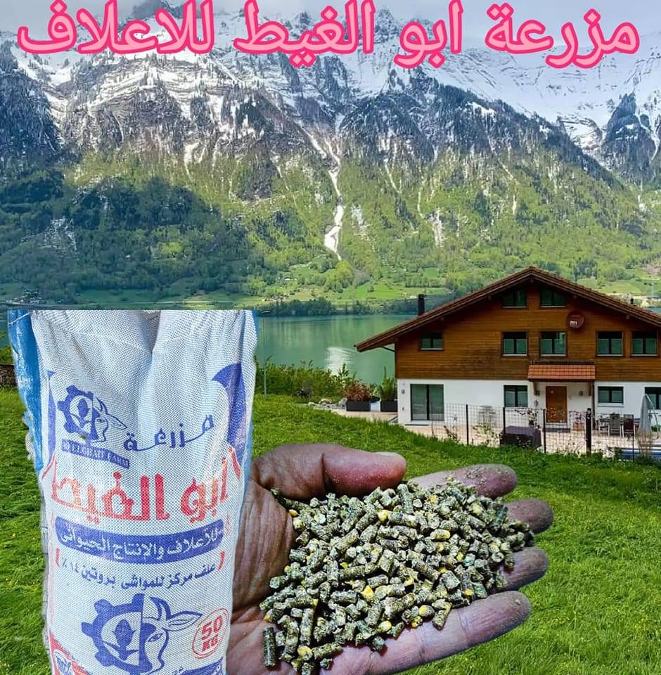 ابو الغيط للأعلاف | Mansoura