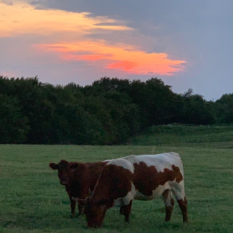 NoName Ranch Beef | Wynnewood OK