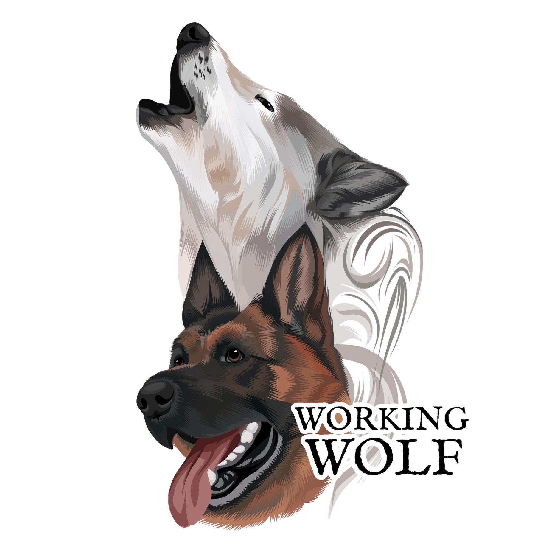 Working Wolf Dog Training | Kitchener ON