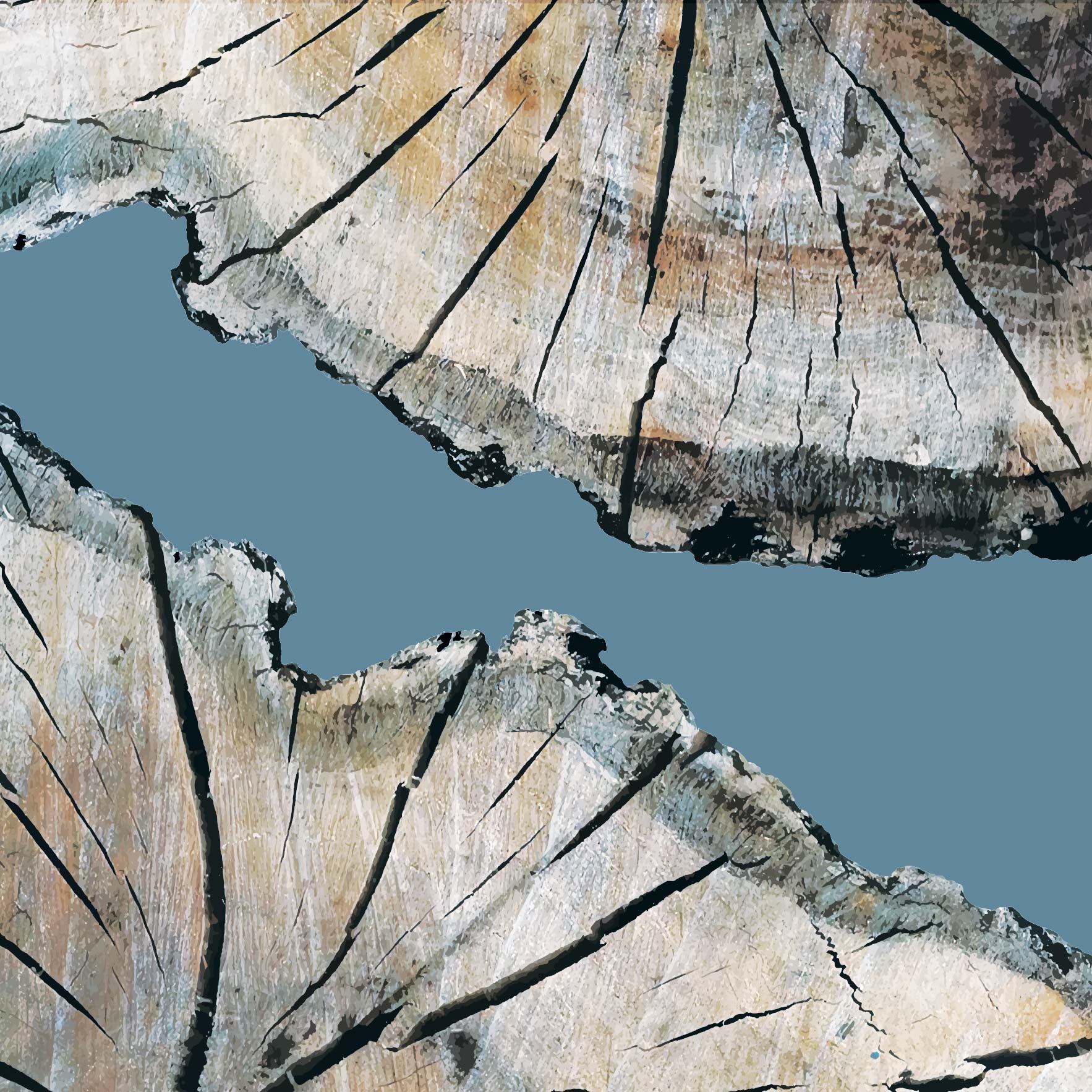 RiverRun Timber