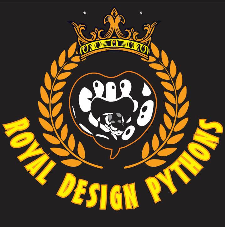 Royal Design Pythons | Maribor