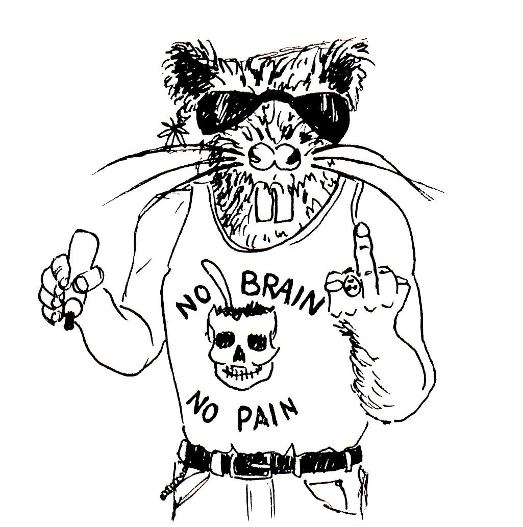 Reckless Rat