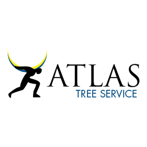 Atlas Tree Service | Lyndhurst NJ