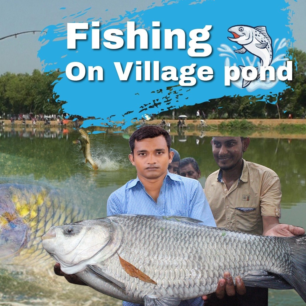 Daily Fish Hunt