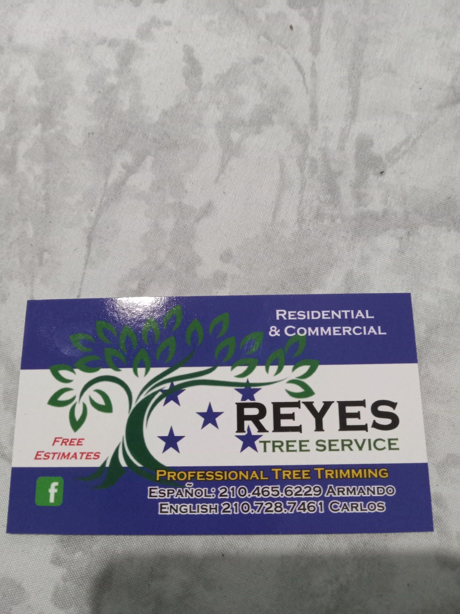 Reyes tree service | San Antonio TX