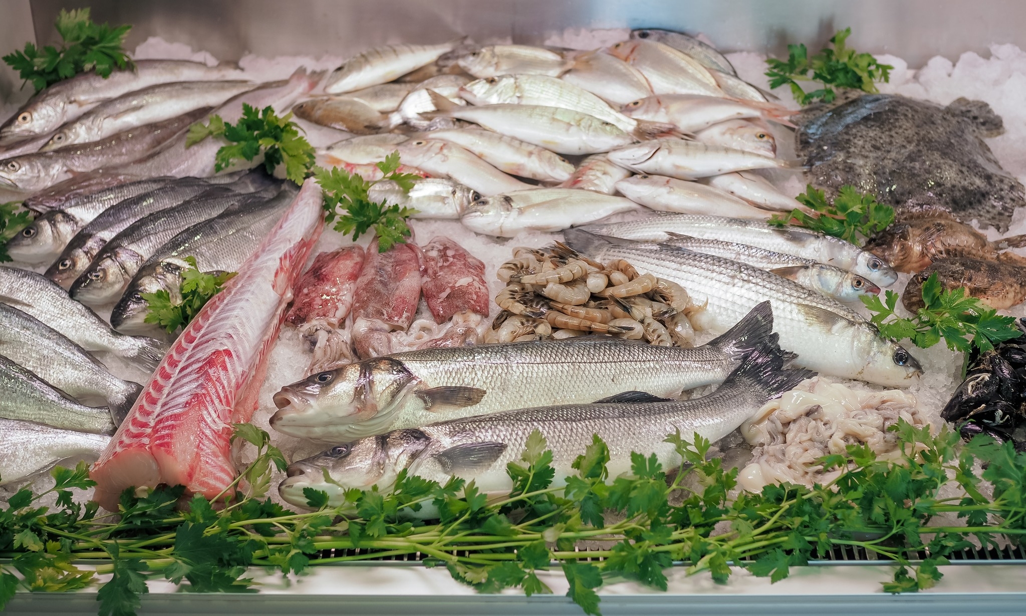 Ribarnica Nelba Umag | Umag