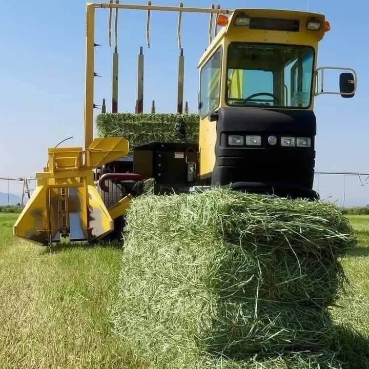 Local Hay Farm