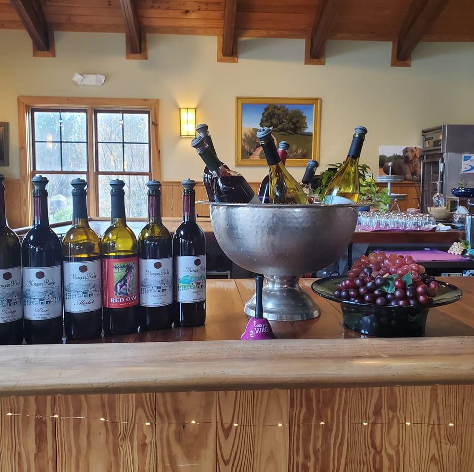 Morgan Ridge Vineyards Wedding Venue | Gold Hill NC