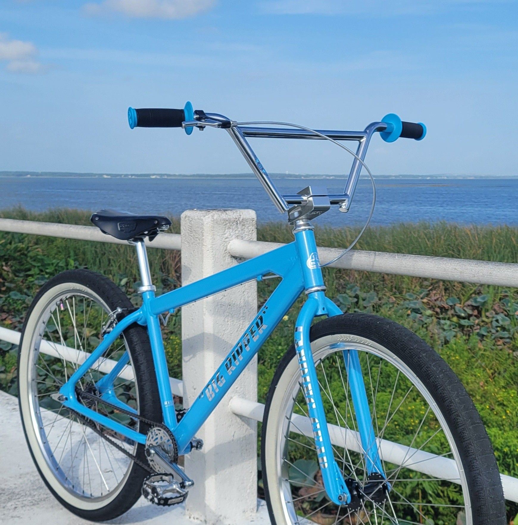 The 29ers BIG BIKE BMX CRUISERS | Heyy everyone I need tips and advices ...