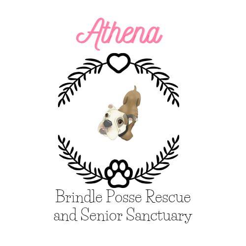 Brindle Posse Rescue, Inc.
