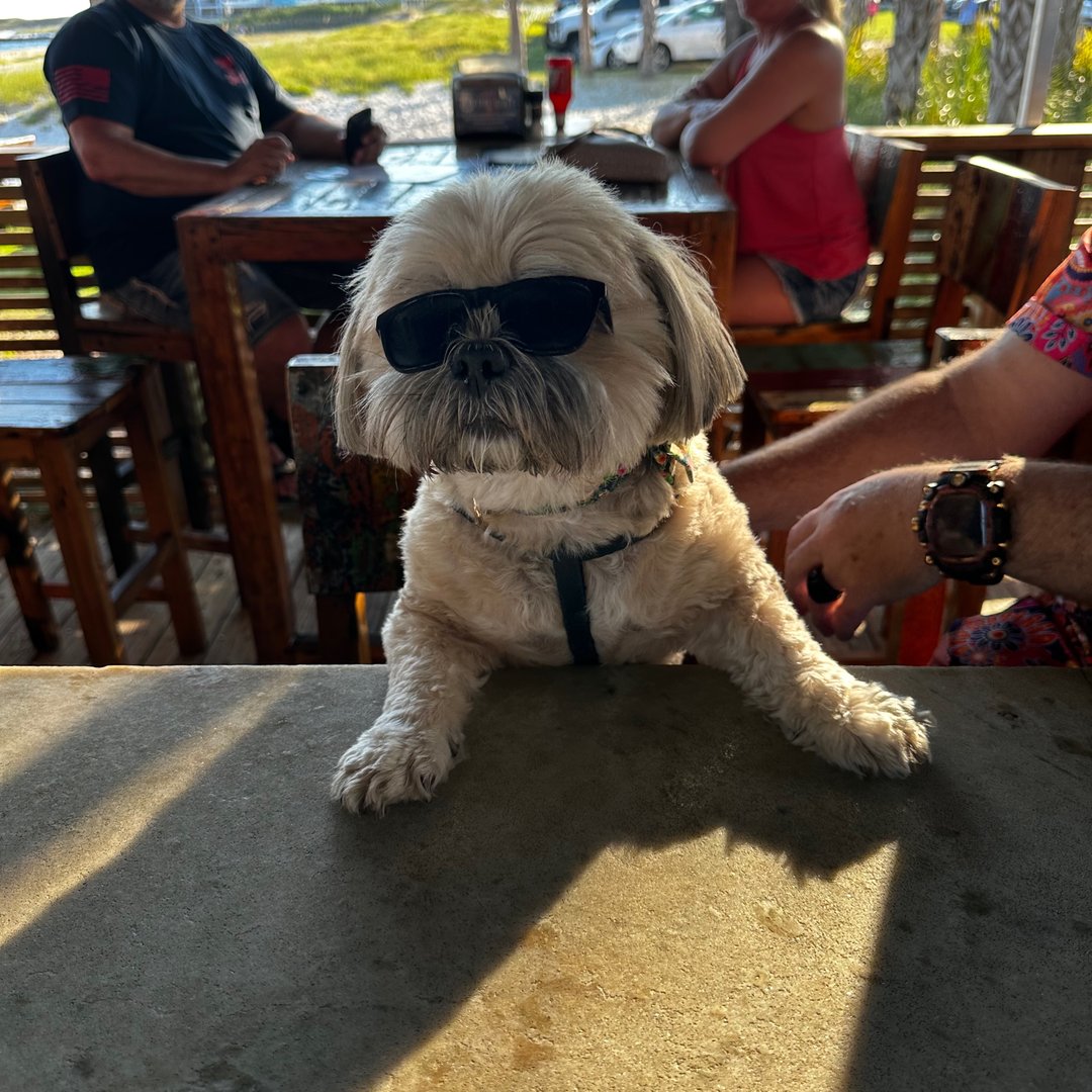 PCola Beau on Reels