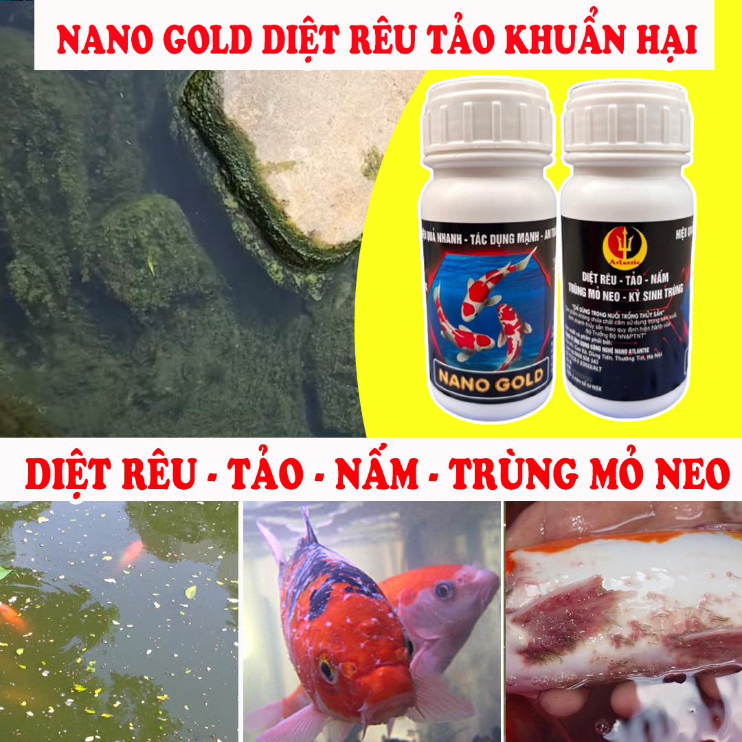 Nano Gold - Chuyên Diệt Tất Cả Các Loại Rong Rêu Tảo - Khuẩn Hại