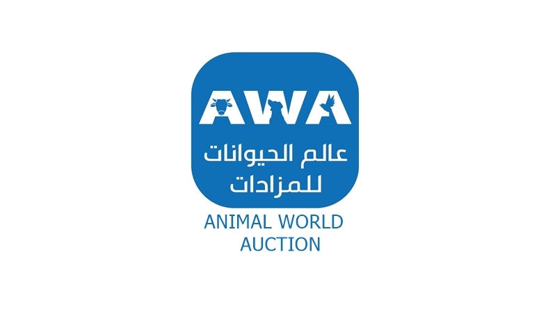 AWA | Abu Dhabi