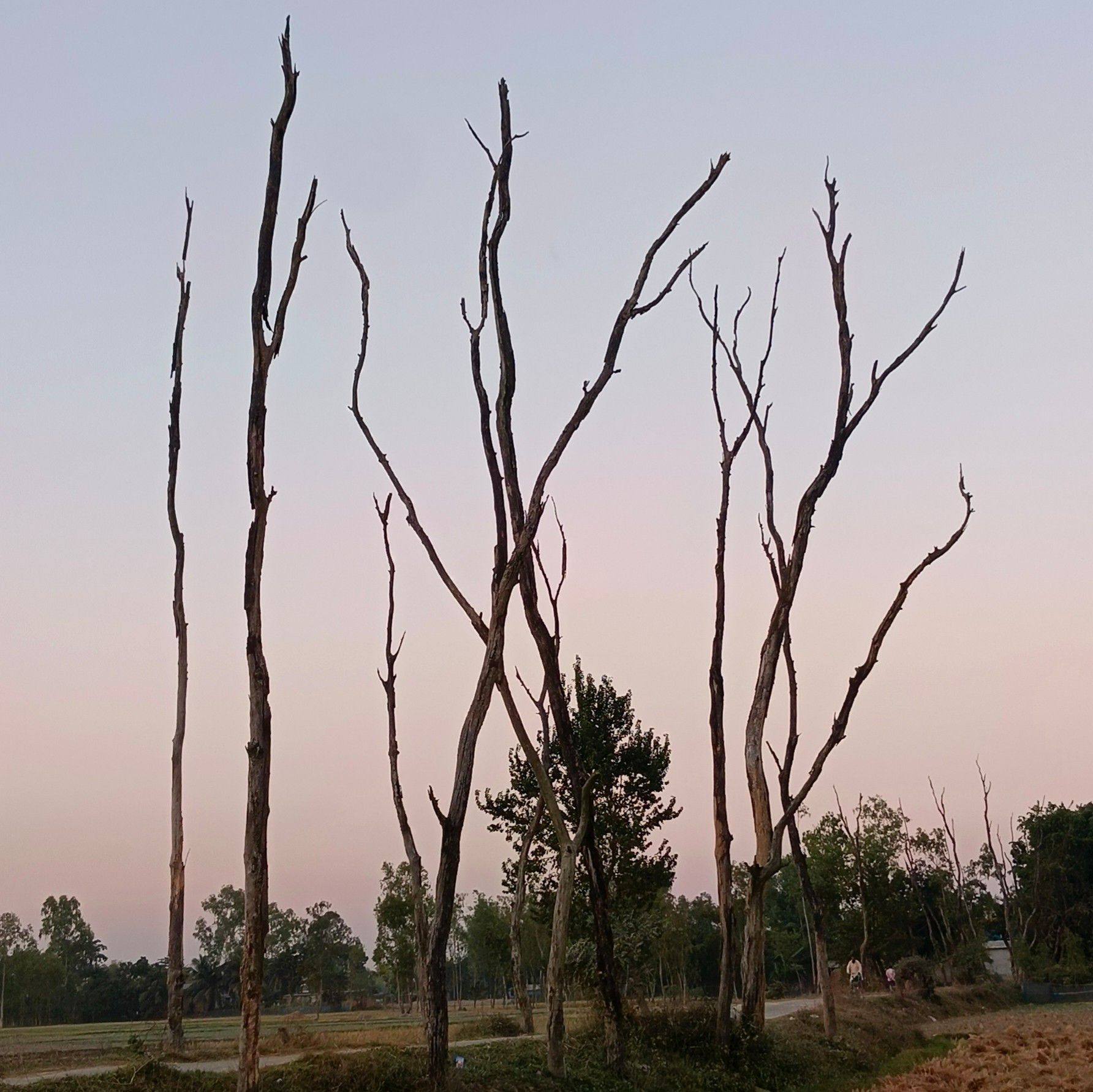 আবুল কালাম আজাদ