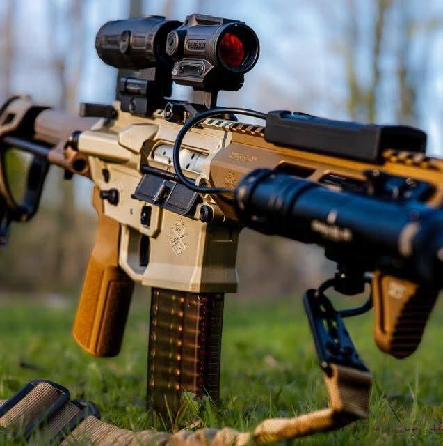 Palmetto State Armory PSA builds