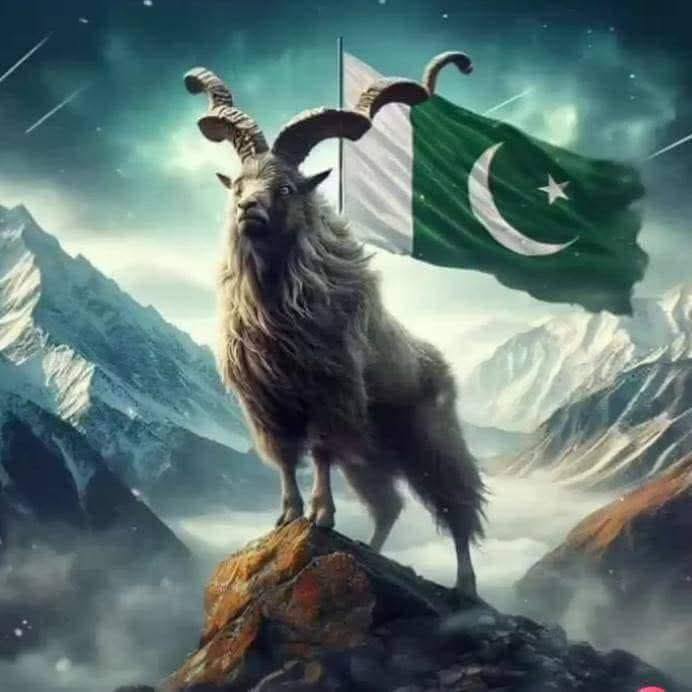 Deera manana Shafi jan che taso 2Q Bites ta visit oke🙈 ️ #viralreels # ...