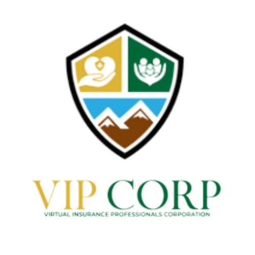Virtual Insurance Professionals Corporation | Orlando FL